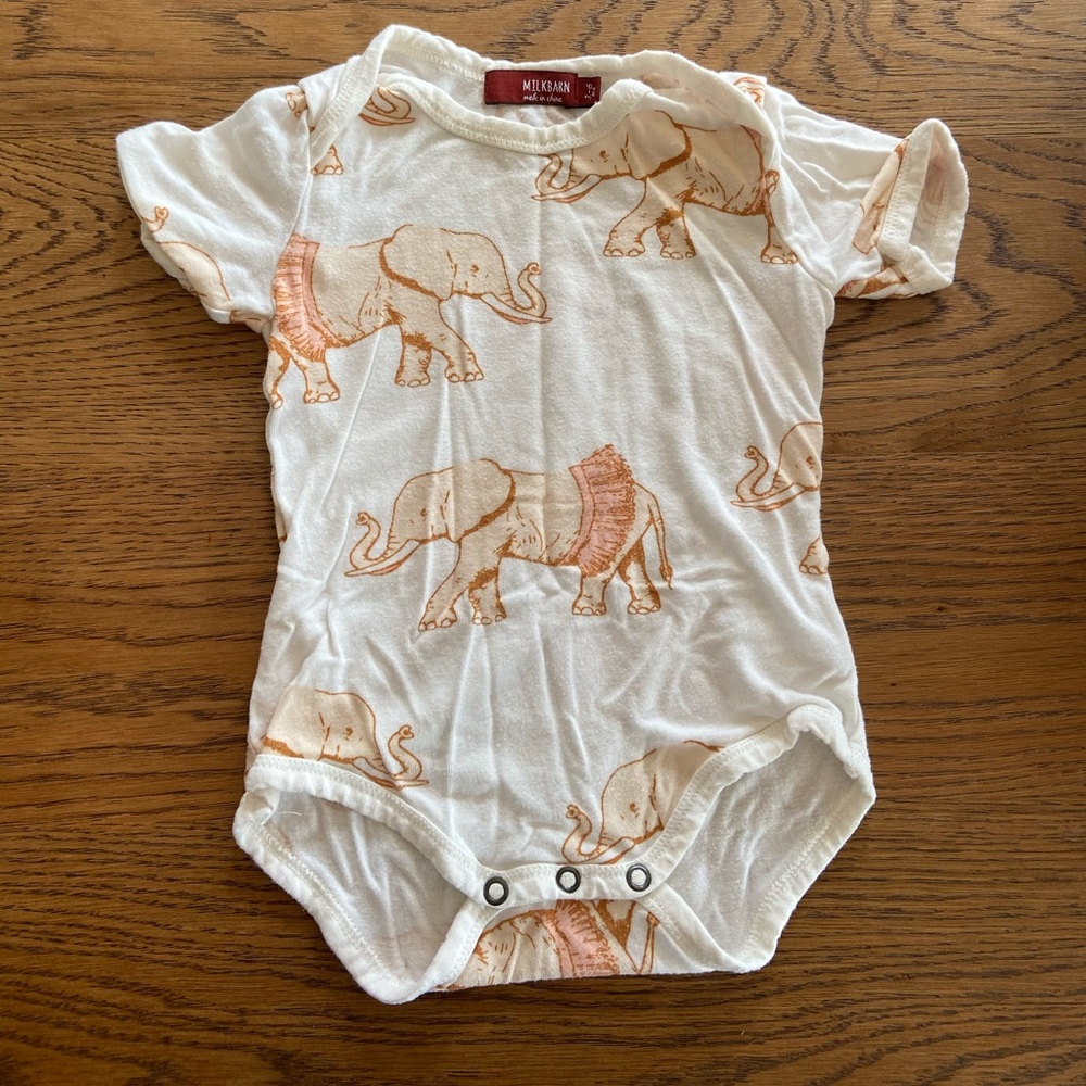 Elephant in tutus!